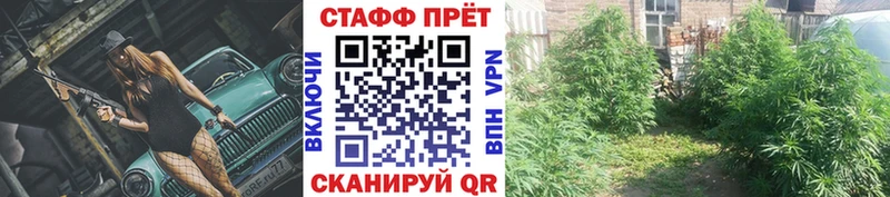 Купить закладку Нижний Тагил A-PVP  Псилоцибиновые грибы  ГАШИШ  Каннабис  КОКАИН  Меф  АМФЕТАМИН 