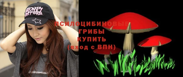ALPHA PVP Богородск
