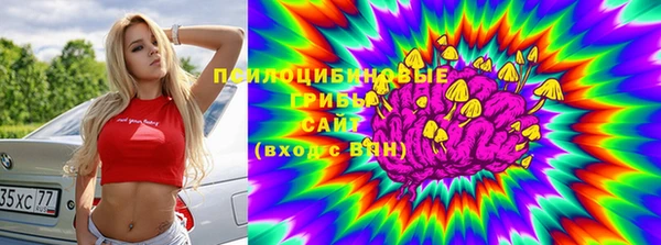 марки lsd Богородицк